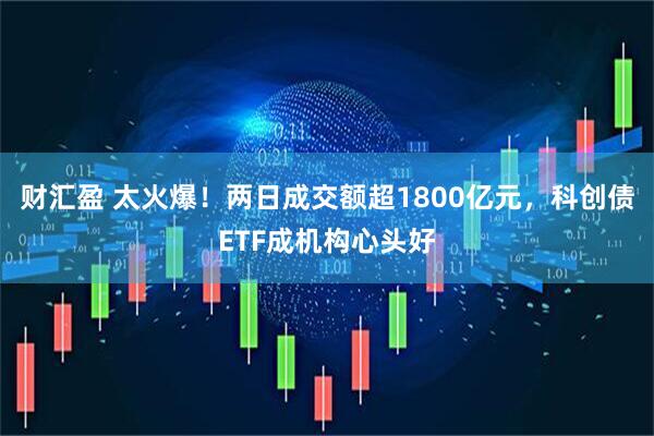 财汇盈 太火爆！两日成交额超1800亿元，科创债ETF成机构心头好