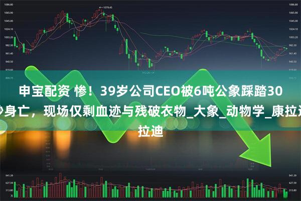 申宝配资 惨！39岁公司CEO被6吨公象踩踏30秒身亡，现场仅剩血迹与残破衣物_大象_动物学_康拉迪
