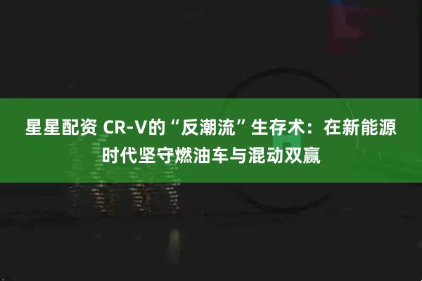 星星配资 CR-V的“反潮流”生存术：在新能源时代坚守燃油车与混动双赢
