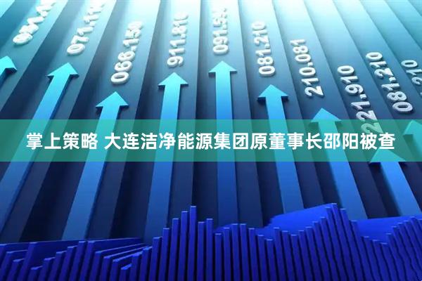 掌上策略 大连洁净能源集团原董事长邵阳被查