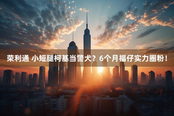 荣利通 小短腿柯基当警犬？6个月福仔实力圈粉！