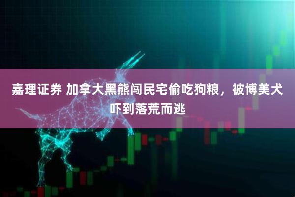 嘉理证券 加拿大黑熊闯民宅偷吃狗粮，被博美犬吓到落荒而逃