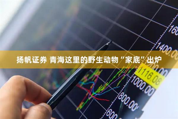扬帆证券 青海这里的野生动物“家底”出炉