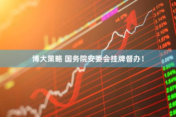 博大策略 国务院安委会挂牌督办！